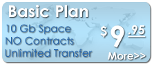 Basic Hosting Package. Click for more information